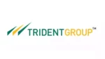 Trident Share Price Target
